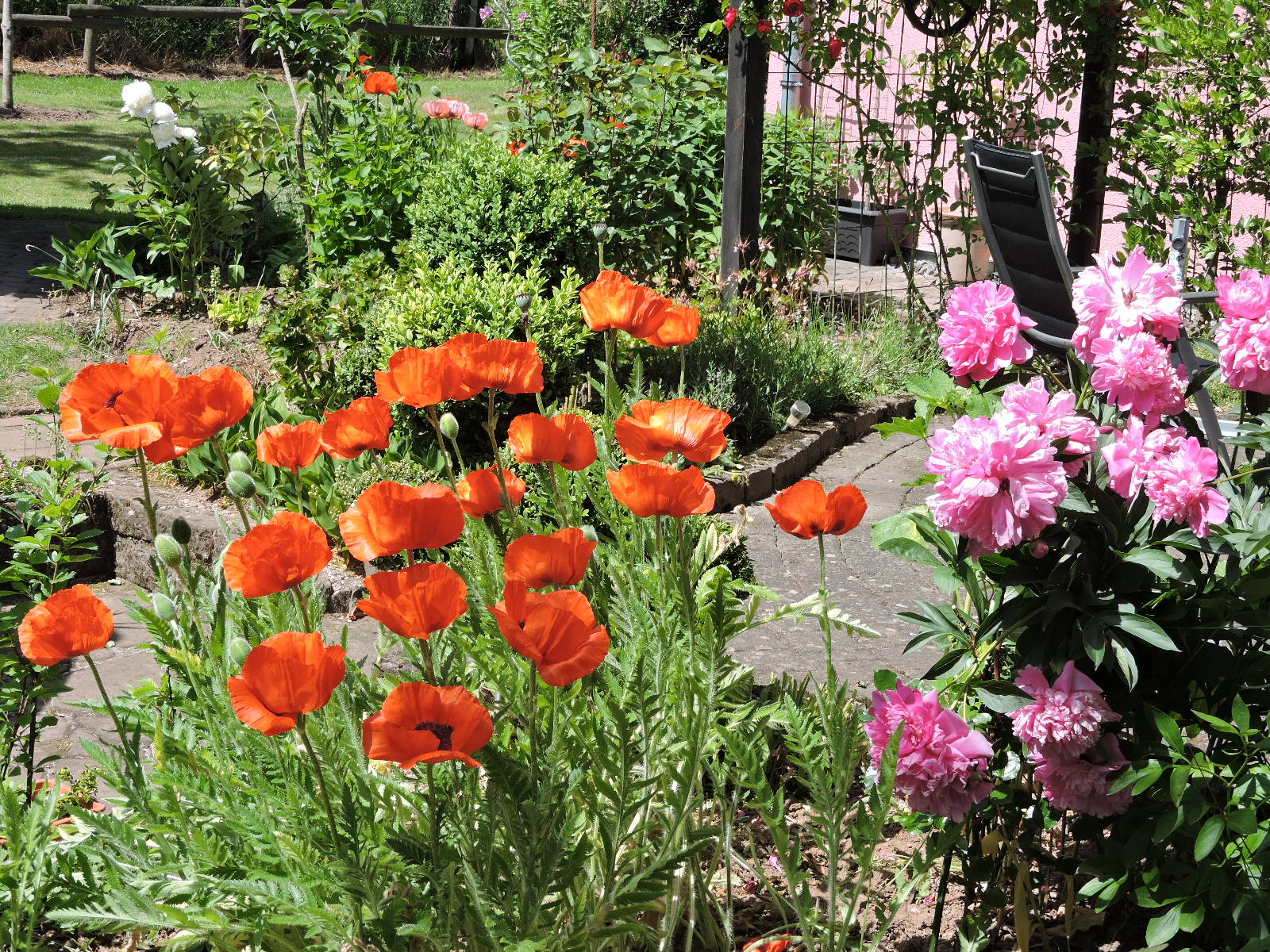 Landesgartenschau: Kein Zuschlag für Bitburg