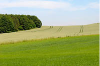 Die Landwirtschaft steht vor großen Herausforderungen