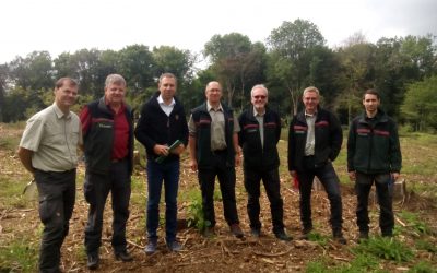 Große Schäden im Wald