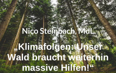 Zur aktuellen Situation der Klimaschäden im Wald erklärt Nico Steinbach, forstpolitischer Sprecher der SPD-Landtagsfraktion RLP: