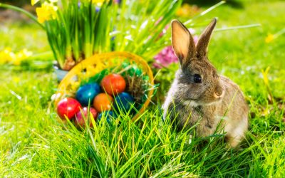 Osterferien – Bürgerbüro geschlossen