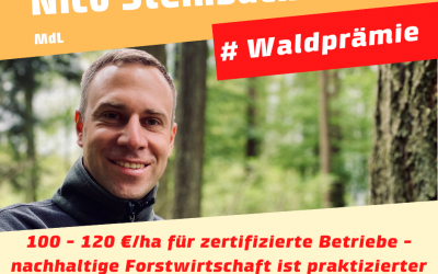 Die Waldprämie kommt – 100 – 120 €/ha für zertifizierte Betriebe in 2020/2021